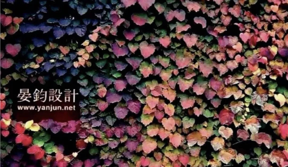 1634879800621398.jpeg 11.jpg